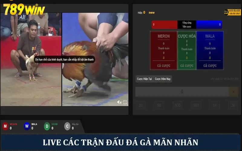 Live các trận đấu với đường truyền HD siêu nét