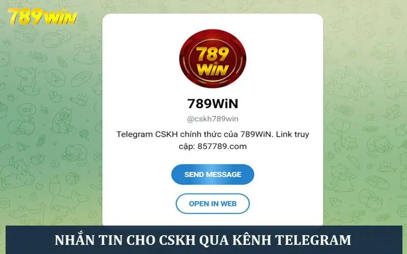 Nhắn tin với CSKH 789win qua kênh Telegram