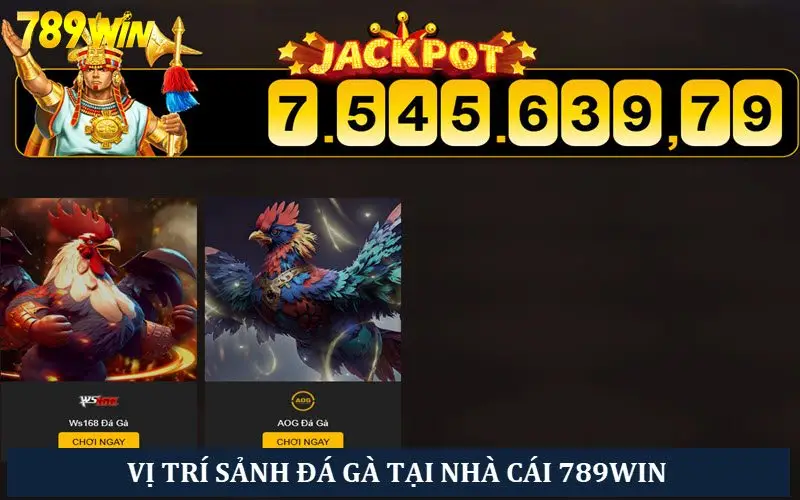 Vị trí các sảnh chọi gà tại nhà cái 789 win